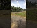 Village Vayal Veli Kokkurpasanga
