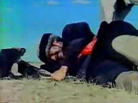 AFGHANISTAN AMIN KOHI THE HORSE MAN FILM P.3