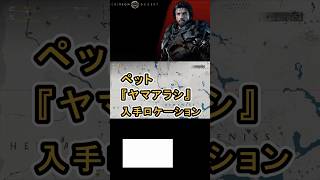 【Crimson Desert 紅の砂漠】ペット 『ヤマアラシ』 の入手方法について紹介 #紅の砂漠 #CrimsonDesert #紅の砂漠攻略 #アクションRPG