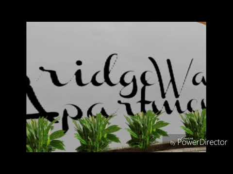 Ciggy black x k Hundo paper chasin 2 offical imvu video shot by king_brandon3437