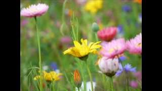 Anita Baker - Good Love