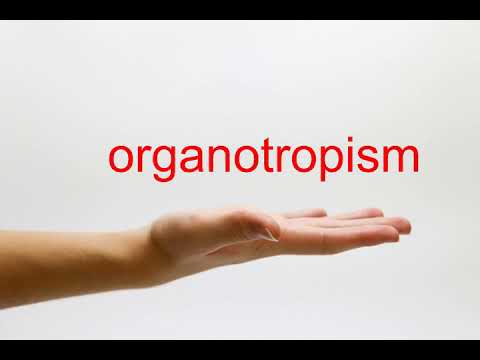 How to Pronounce organotropism - American English