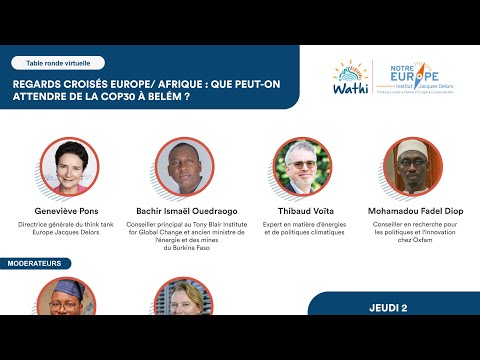 Regards croisés Europe/ Afrique : Que peut-on attendre de la COP30 à Belém?