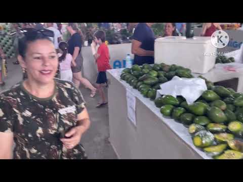 Feira livre de Alta floresta - MT