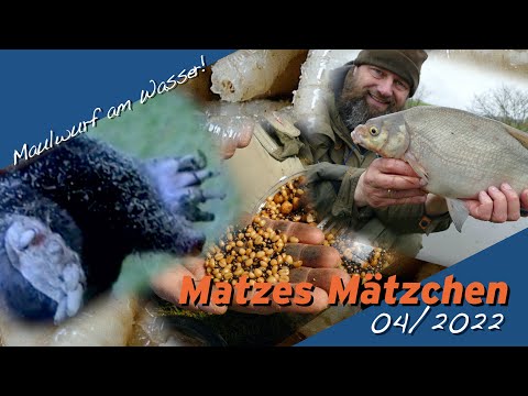 Matze Koch: With Mole on Everything! - Matze's Antics 04-2022
