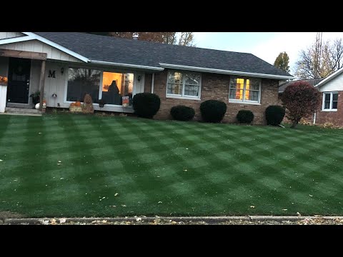 Is a Kentucky Bluegrass Overseed Possible?