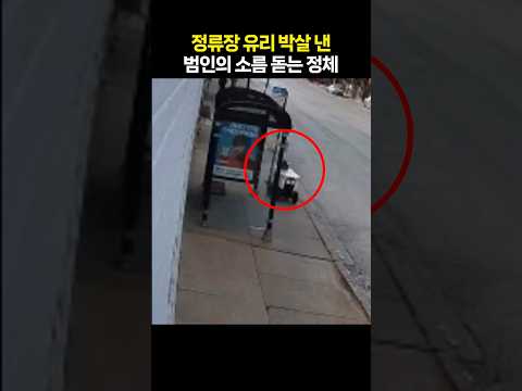 눈먼 자율주행? 배달 로봇 정류장 돌진···유리벽 '와장창'