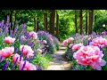 Calming Music Heals The Heart And Calms The Nervous System Music For The Soul And Relaxation 4