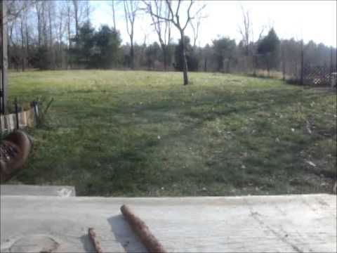 "Zombie apocalypse" 22 cal ammo test.