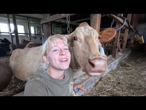 Update equipment for better herd health and comfort…🐄🐄