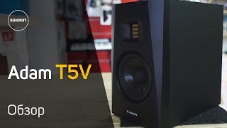 Adam Audio T5V - відео 2