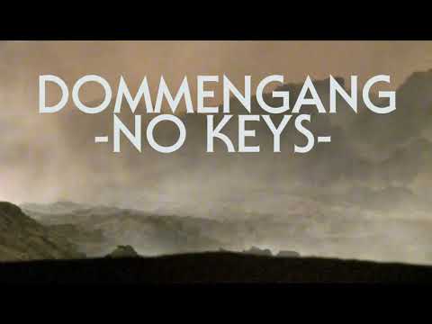 DOMMENGANG WILD WASH TRAILER