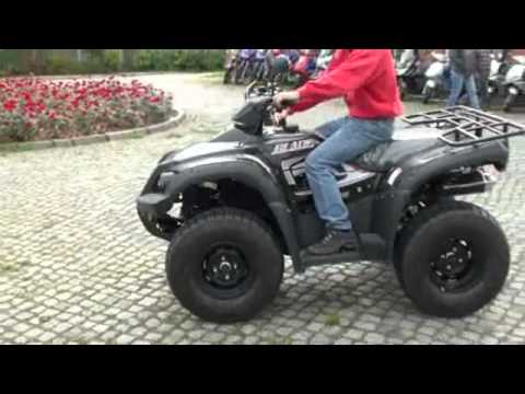 tgb blade 325 quad piaggio berlin roller scholz