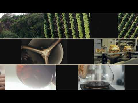 Миниатюра изображения товара Кофе в зернах Lavazza Qualita Oro / 5639 (250г)