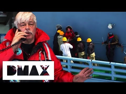 Sea Shepherds Taken Hostage After Boarding Whaling Ship | Whale Wars