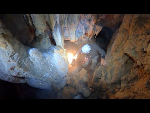 YouTube - Avenul dintre Brânduşe