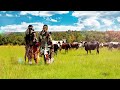 Inkabi Zezwe ft Sjava & Big Zulu - Omunye  [Official Visualiser]