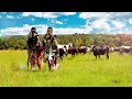 Inkabi Zezwe Ft Sjava Big Zulu Omunye Official Visualiser