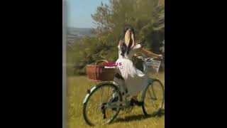 Download lagu PRESET AM๐๏ธโจ DJ TERIMUSKURA KANE VIRAL TIKTOK ๐๐ค๐ฝ#shorts #presetam mp3 Download lagu PRESET AM๐๏ธโจ DJ TERIMUSKURA KANE VIRAL TIKTOK ๐๐ค๐ฝ#shorts #presetam mp3