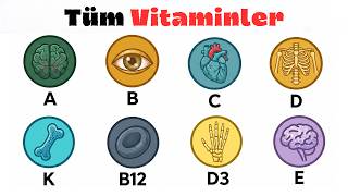 Hangi Vitamin Ne İşe Yarar? İşte Tüm Vitaminler
