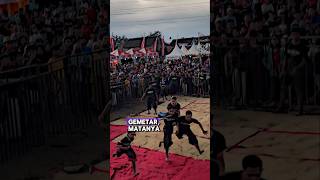 Download lagu Bopo is coming, 🫵😎 Your consciousness is lost🫣 #bull #horse mp3