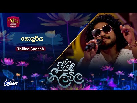 Sonduriya | සොඳුරිය | Thilina Sudesh | Piyum Neela Vila | Roo Tunes