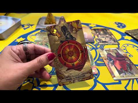 Forecasts for the week of February 22nd to 28th