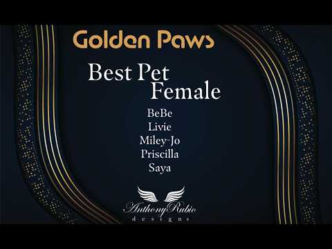 Anthony Rubio's Golden Paws - Part 3