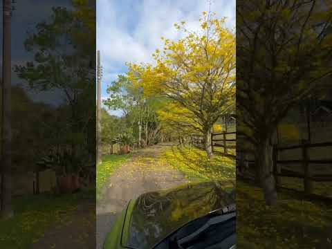 Recanto Feliz Vila Rica Ibicaré SC