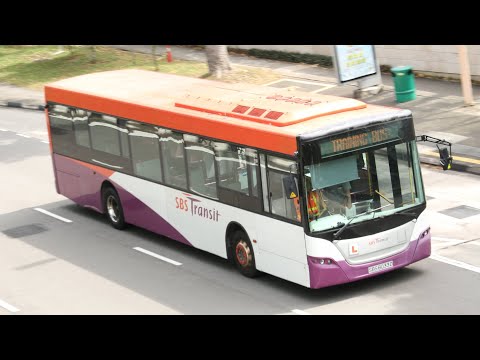 (Retired) [SBST] SBS8033D on Training Bus. Scania K230UB Euro IV (Demo)