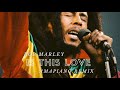 Bob Marley - Is this Love? (Amapiano Remix) prod. by Natswa Made This