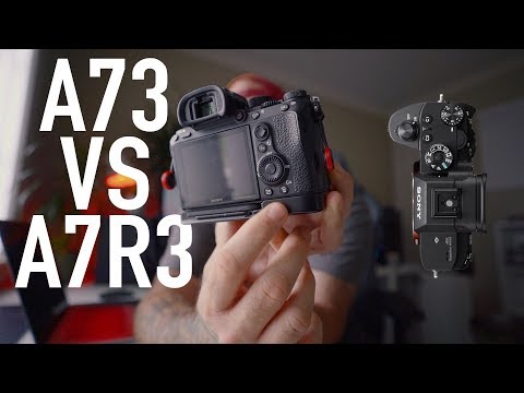 A7III vs A7RIII - Answering Your Question, Why I chose the A7R3 over the A73