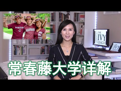 常青藤