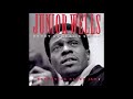 Junior Wells -  I Wish I Knew What I Know Now