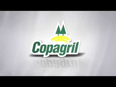 (22/04/2019) Palmas x AACC Copagril - Paranaense Série Ouro