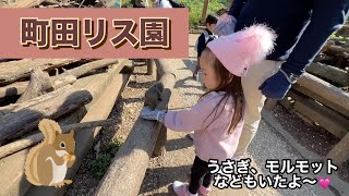リスたくさん!!手乗りもしちゃう!?!? 町田リス園|日本一時帰国|国際結婚|海外で子育て