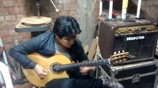 Video thumbnail for Gibson  chet atkins cec Vs Godin grand concert by pável Ortiz