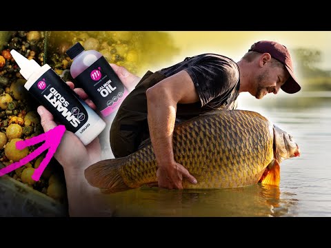 Futtermischung für viele Bisse – Karpfenangeln MINI-MASTERCLASS