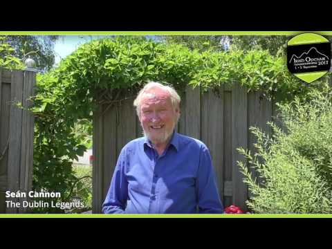 Irish Openair Toggenburg - Seán Cannon freut sich aufs Irish Openair Toggenburg 2017