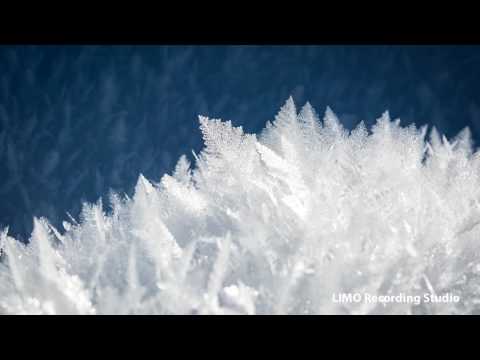 Hon Kyoku - Doug Maxwell/ Zac Zinger