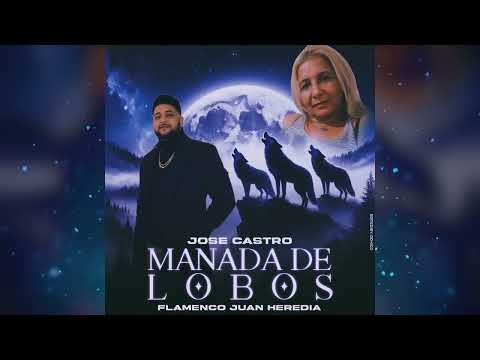 JOSE CASTRO - MANADA DE LOBOS "FT. Flamenco Juan Heredia"