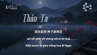 Download lagu [Vietsub] Thán ta (叹我) - A Mạch Cô Nương (阿麦姑娘) mp3