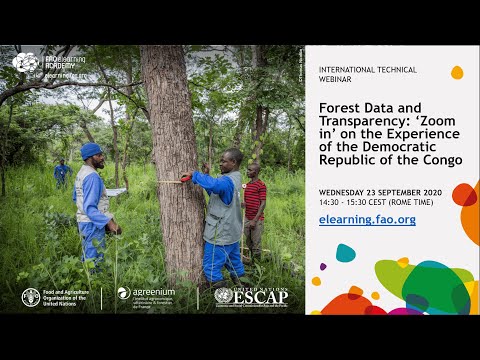 Forest Data and Transparency 'Zoom in' on the Experience of the Democratic Republic of the Congo