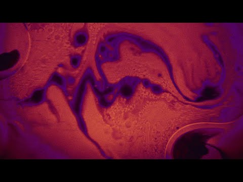 "MÉRISTÈME" - (FX exercise 2025)