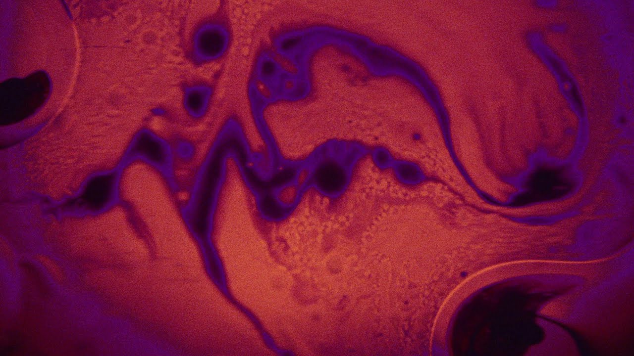 MÉRISTÈME — Official Trailer