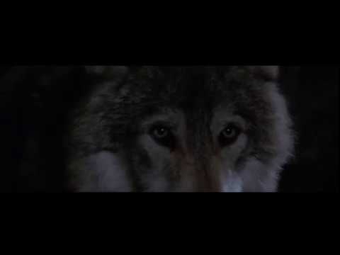 Bioorganic Music Lounge 07.11.2019