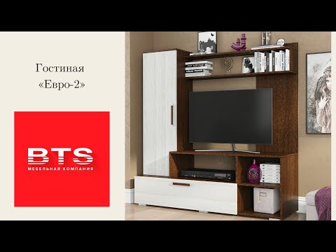 Гостиная Евро-2 от компании BTS