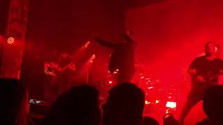 BTBAM- Fossil Genera- A Feed From Cloud Mountain