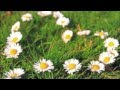 WHATEVER LOVERS SAY LYRICS - NADEAH ...