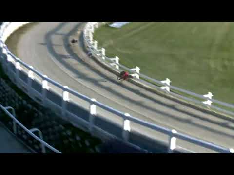 2022.06.16. 07. futam - Kincsem Park Magyar Derby Negyeddöntő II. futam